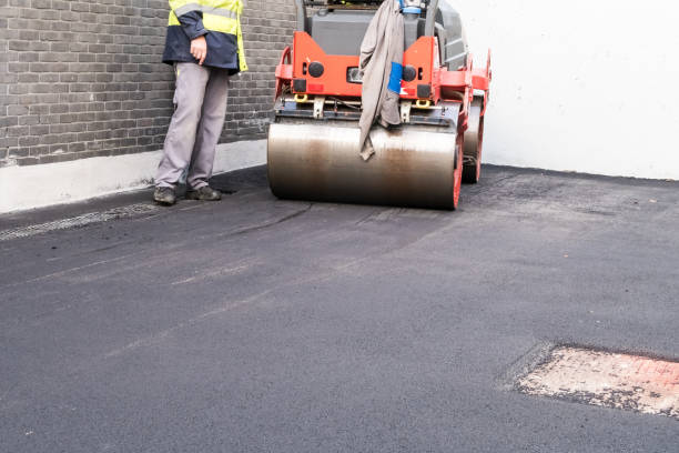 Best Driveway Removal and Replacement  in Pocomoke City, MD